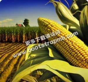 全面整合足球赛事资讯 - 世界杯数据分析hangrui